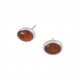 Amber Earrings