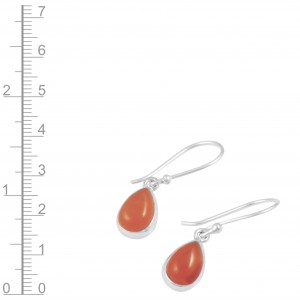 Carnelian Earrings