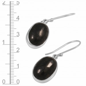 Shungite Earrings