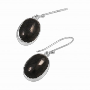 Shungite Earrings