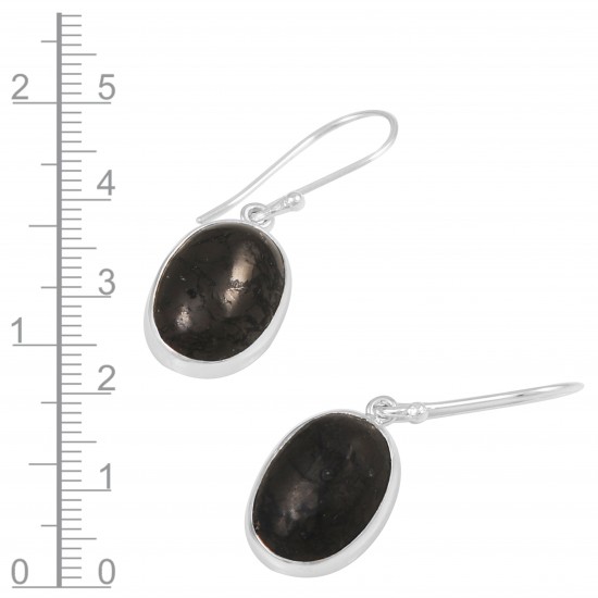 Shungite Earrings