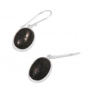 Shungite Earrings