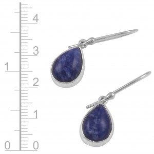 Sodalite Earrings