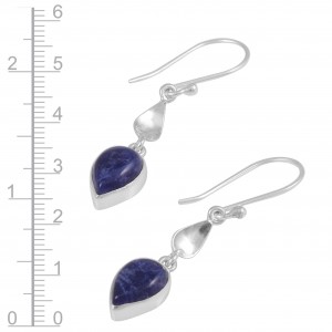 Sodalite Earrings