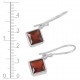 Garnet Earrings