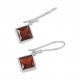 Garnet Earrings