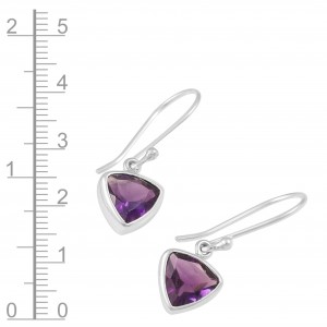 Amethyst Earrings