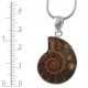 Ammonite Pendant