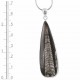 Orthoceras Fossil Pendant 