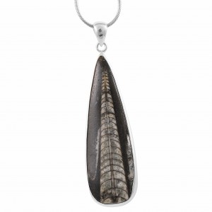 Orthoceras Fossil Pendant 