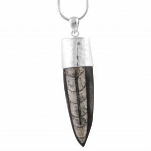 Orthoceras Fossil Pendant 